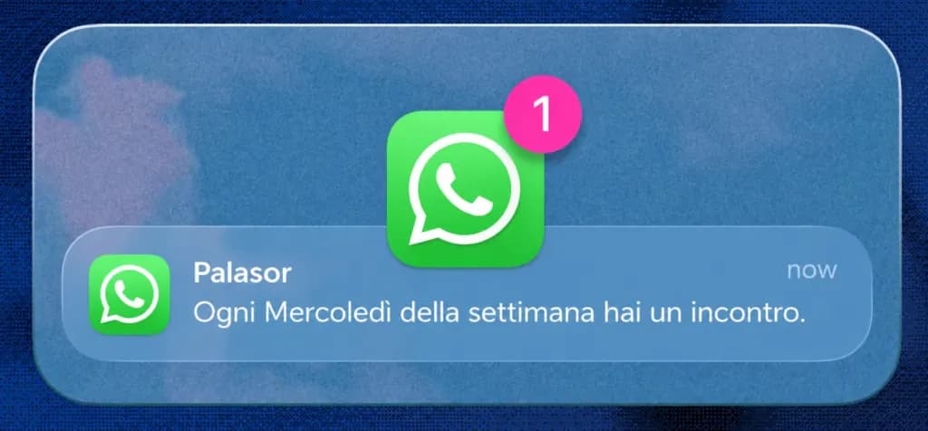 Notifica WhatsApp di Palasor: un incontro ogni mercoledì